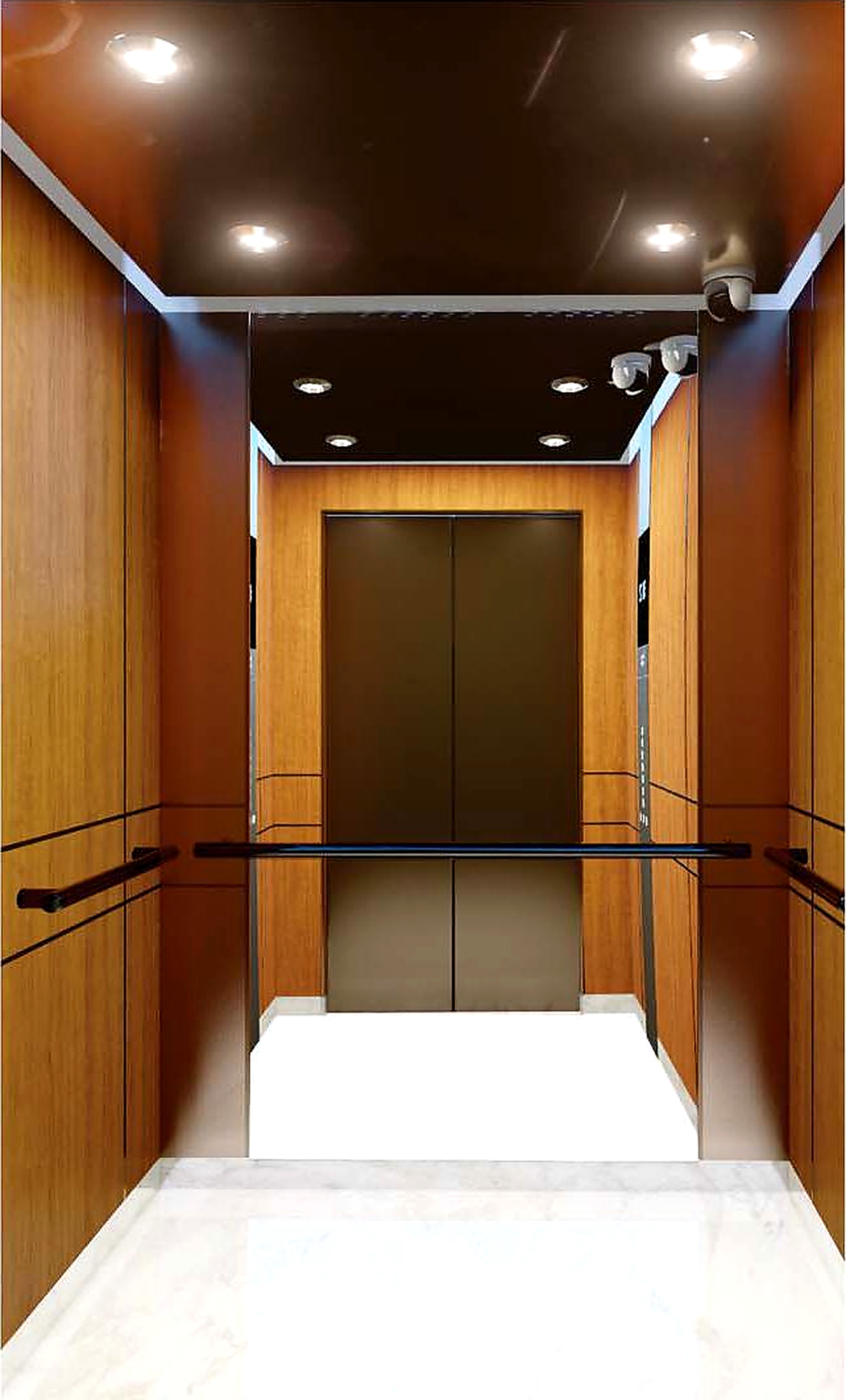 KJ-15 • Wood Veneer & Clear Polished Edge Mirror